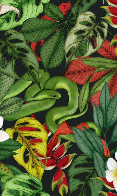 ♥ Succubus Clothing ♥